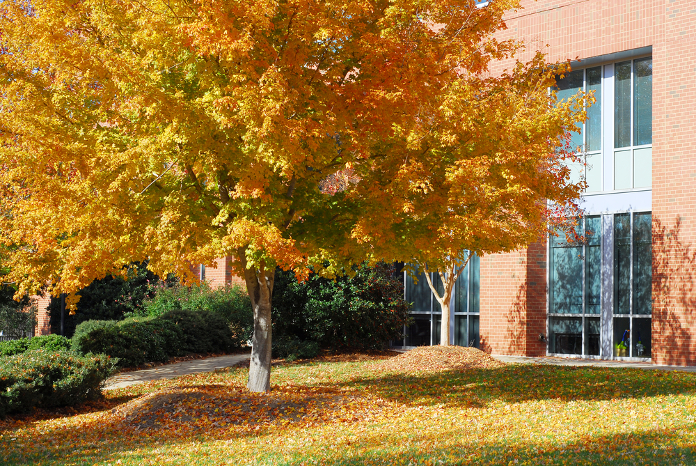 How To Prepare for Fall Building Maintenance Needs