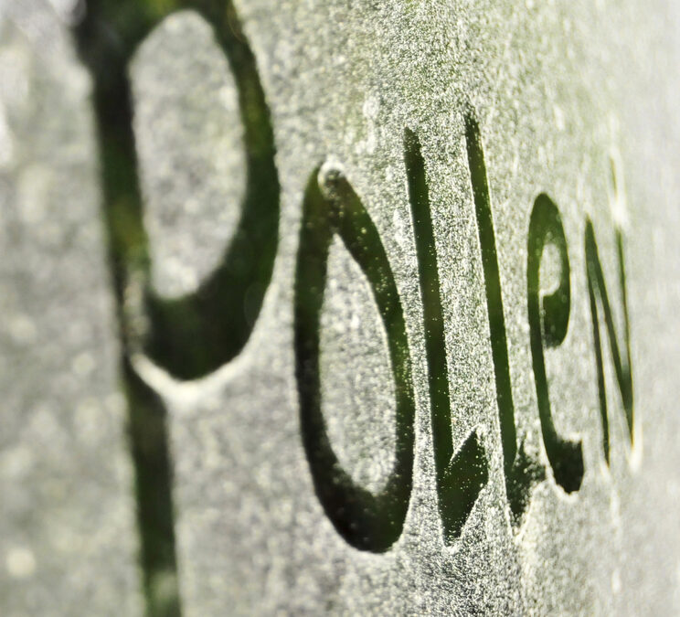 Mitigating the Effects of Pollen With DFW Commercial Window Cleaning